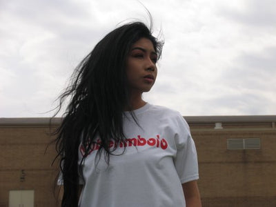 The Berimbolo Top Mount Tee